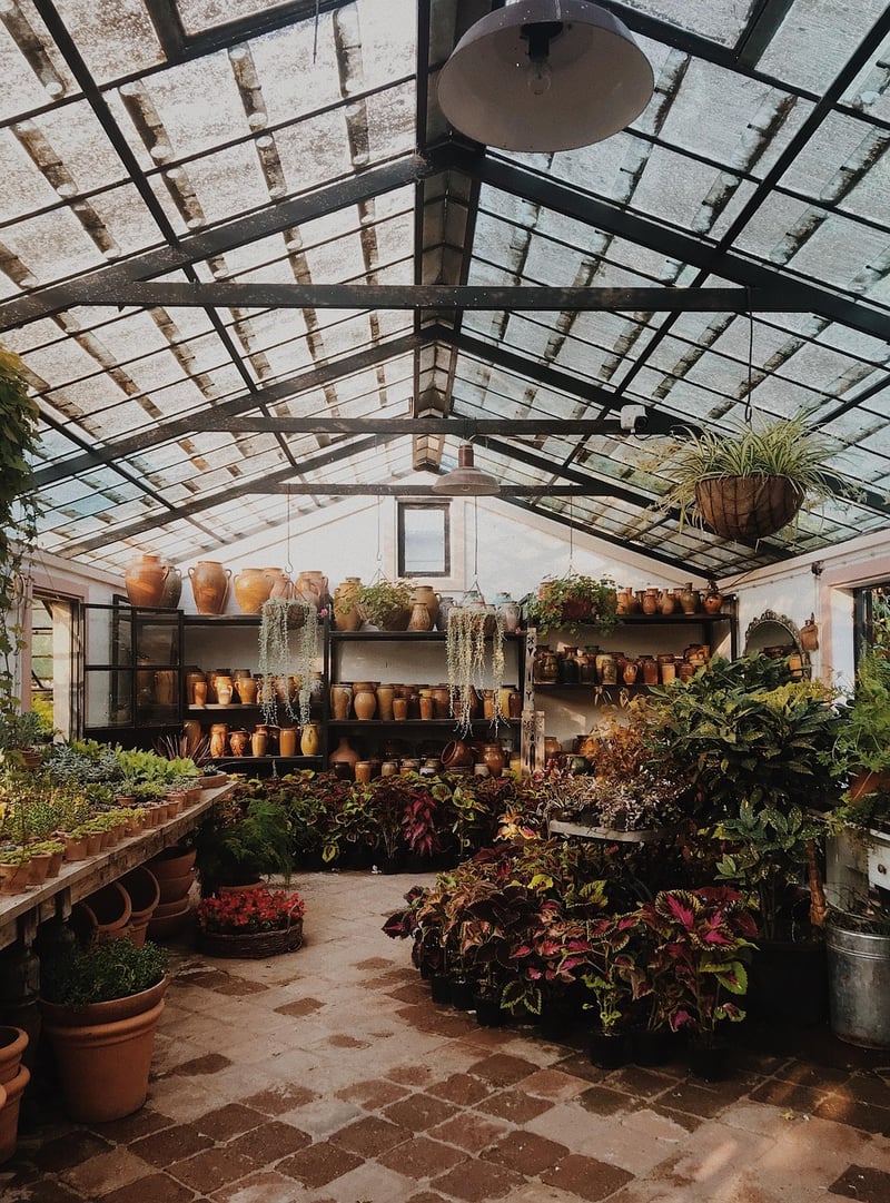 Plant Swap Image