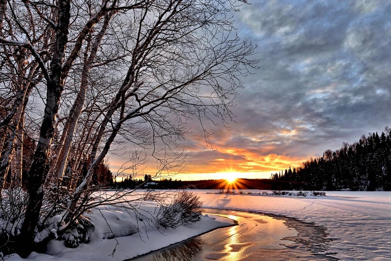 Winter Home